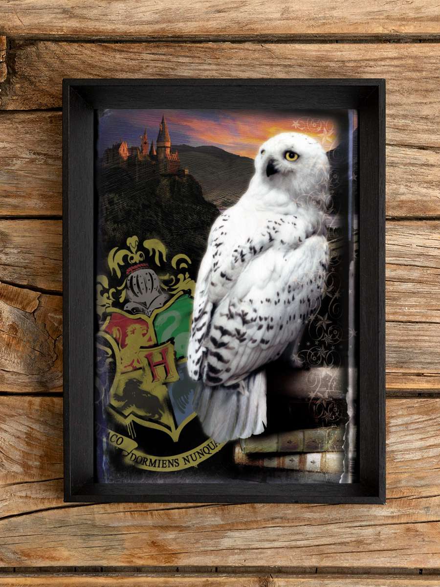 Harry Potter - Hedwig Film Poster Tablo Siyah Çerçeveli Yüksek Kalite Film Duvar Tablo