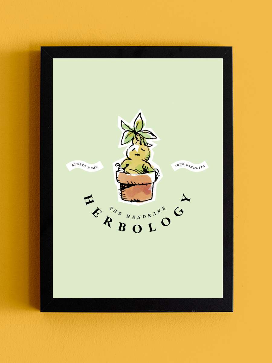 The Mandrake - Herbology Film Poster Tablo Siyah Çerçeveli Yüksek Kalite Film Duvar Tablo