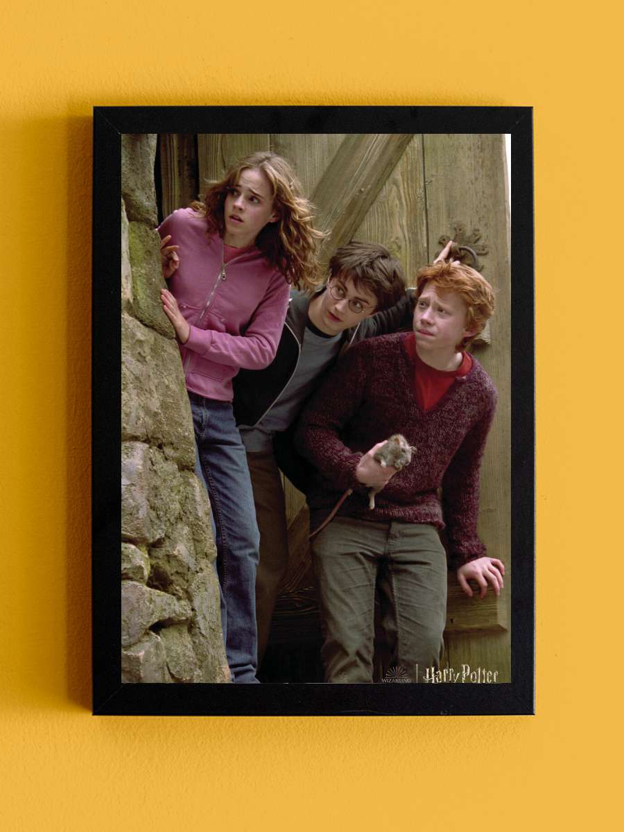 Harry Potter - Famous trio Film Poster Tablo Siyah Çerçeveli Yüksek Kalite Film Duvar Tablo