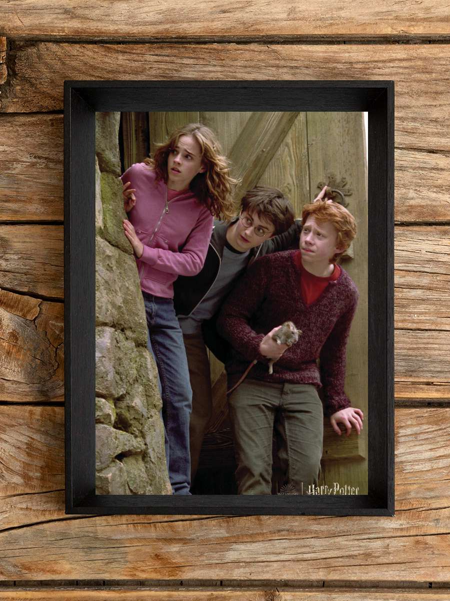 Harry Potter - Famous trio Film Poster Tablo Siyah Çerçeveli Yüksek Kalite Film Duvar Tablo