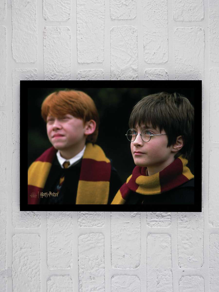 Harry Potter and Ron Weasley Film Poster Tablo Siyah Çerçeveli Yüksek Kalite Film Duvar Tablo