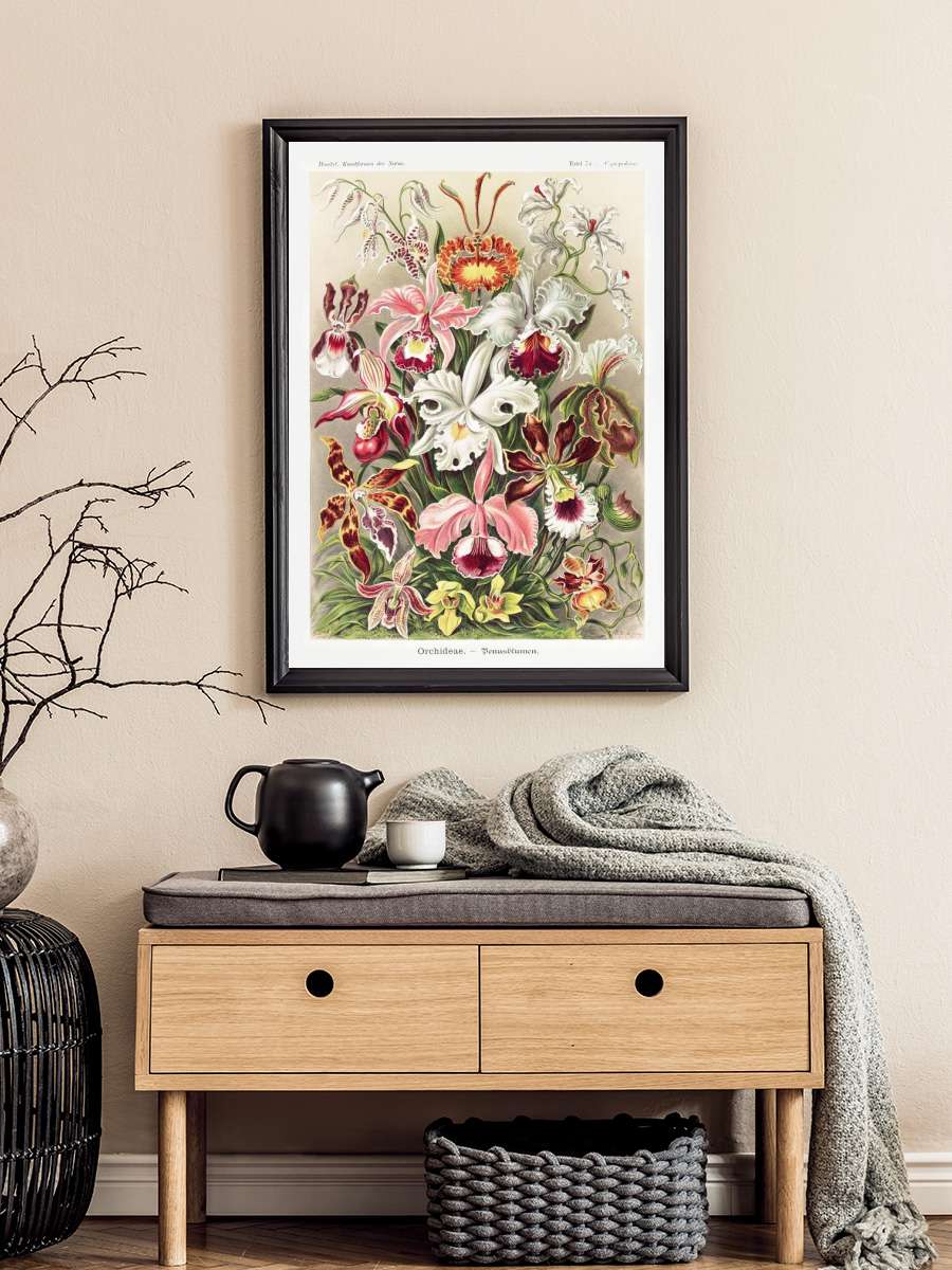 Ernst Haeckel - Orchideen Sanatsal Modern Tablo Siyah Çerçeveli Poster Modern Duvar Tablo