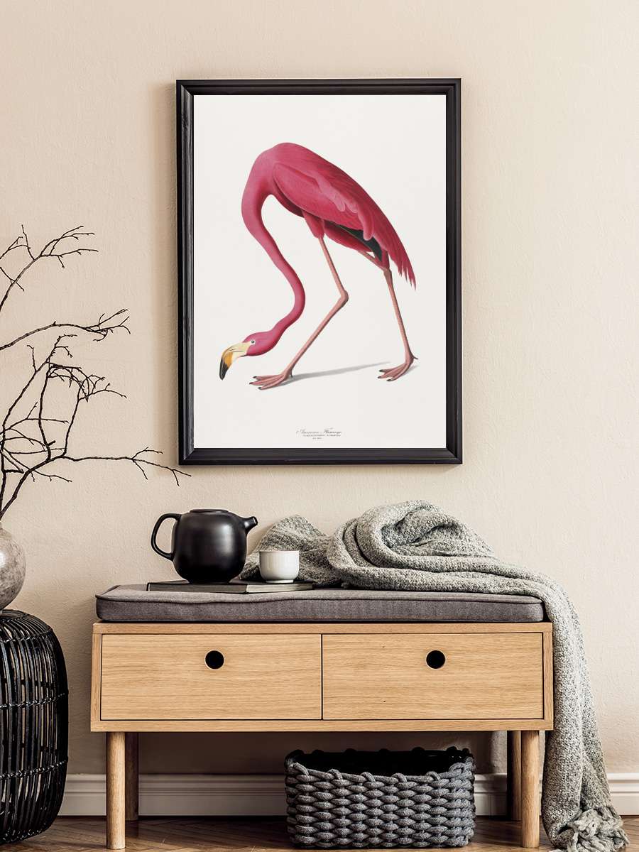 American Flamingo Sanatsal Modern Tablo Siyah Çerçeveli Poster Modern Duvar Tablo