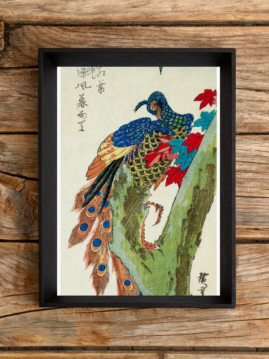 Peacock Perched on a Maple Tree… Tree (Japan) - Utagawa… Sanatsal Modern Tablo Siyah Çerçeveli Poster Modern Duvar Tablo