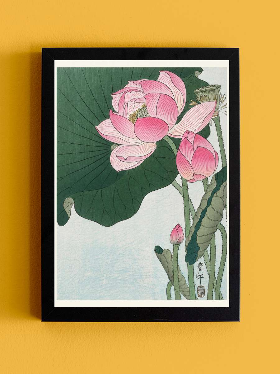 Blooming Lotus (Japandi Vintage… Vintage) - Ohara Koson Sanatsal Modern Tablo Siyah Çerçeveli Poster Modern Duvar Tablo