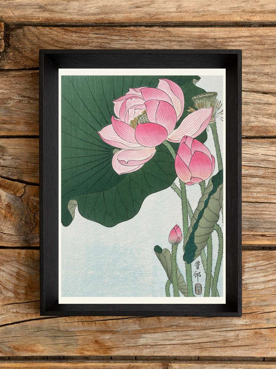 Blooming Lotus (Japandi Vintage… Vintage) - Ohara Koson Sanatsal Modern Tablo Siyah Çerçeveli Poster Modern Duvar Tablo