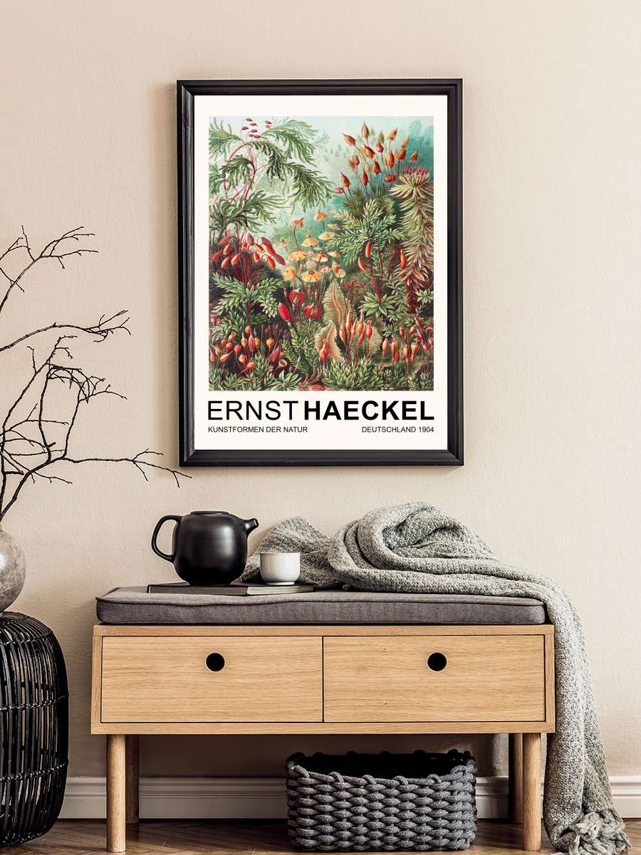 Muscinae–Laubmoose / Rainforest… Rainforest Plants (Vintage… Sanatsal Modern Tablo Siyah Çerçeveli Poster Modern Duvar Tablo