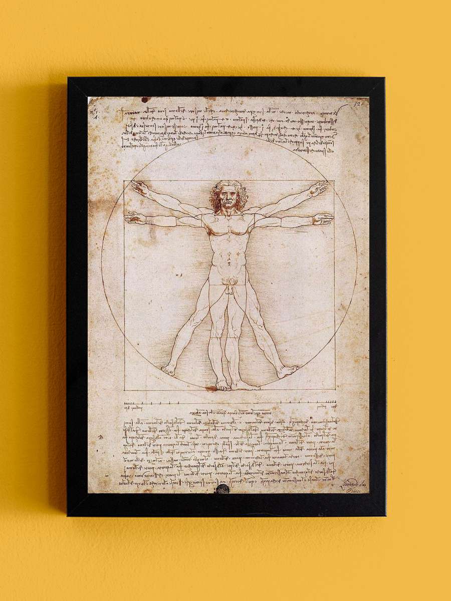 Vitruvian Man Sanatsal Modern Tablo Siyah Çerçeveli Poster Modern Duvar Tablo