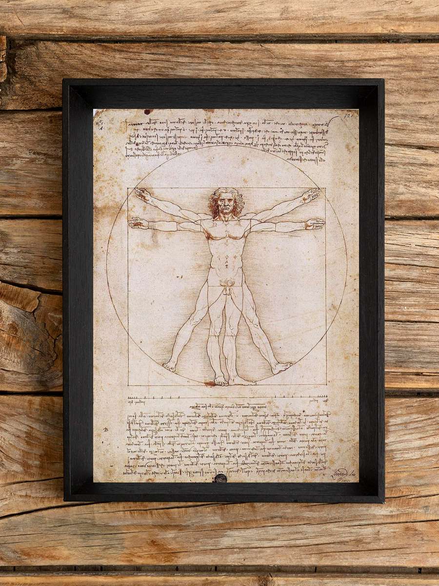 Vitruvian Man Sanatsal Modern Tablo Siyah Çerçeveli Poster Modern Duvar Tablo