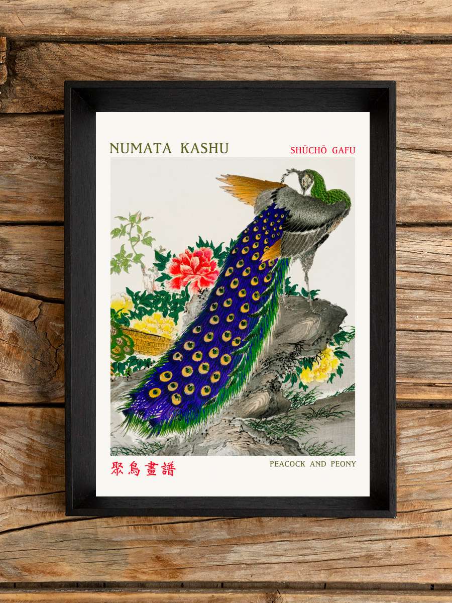 Peacock & Peony (Asian Birds) -… - Numata Kashu Sanatsal Modern Tablo Siyah Çerçeveli Poster Modern Duvar Tablo