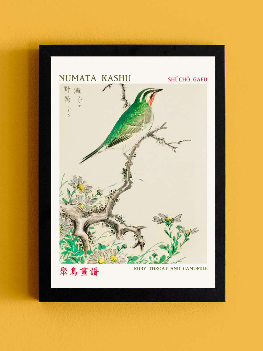 Ruby Throat & Camomile (Asian… (Asian Birds) - Numata Kashu Sanatsal Modern Tablo Siyah Çerçeveli Poster Modern Duvar Tablo