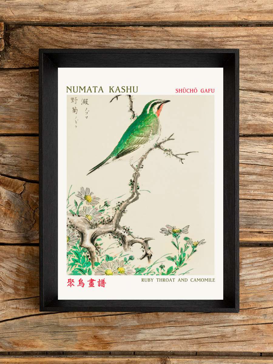 Ruby Throat & Camomile (Asian… (Asian Birds) - Numata Kashu Sanatsal Modern Tablo Siyah Çerçeveli Poster Modern Duvar Tablo