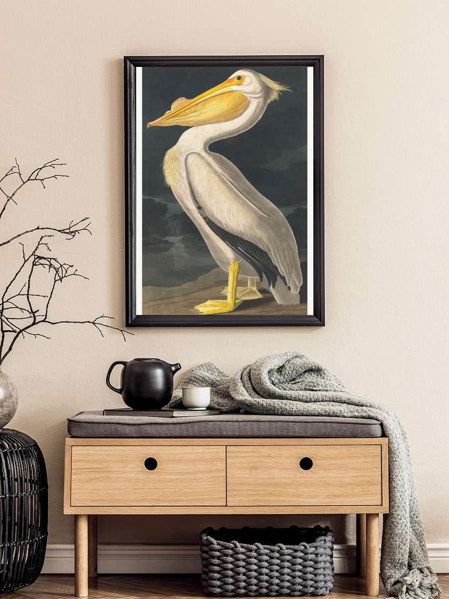 The White Pelican (Birds) -… - John James Audubon Sanatsal Modern Tablo Siyah Çerçeveli Poster Modern Duvar Tablo