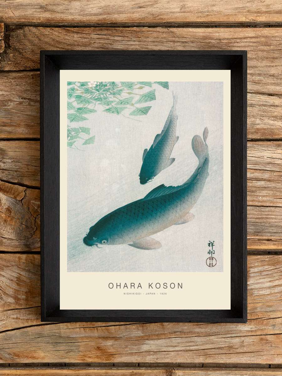 Nishikigoi, Two Koi Carp Fish … (Special Edition) -… Sanatsal Modern Tablo Siyah Çerçeveli Poster Modern Duvar Tablo