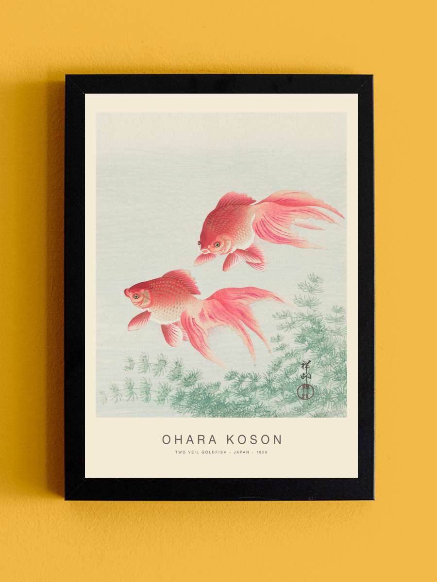 Two Veil Goldfish (Special… (Special Edition) - Ohara Koson Sanatsal Modern Tablo Siyah Çerçeveli Poster Modern Duvar Tablo