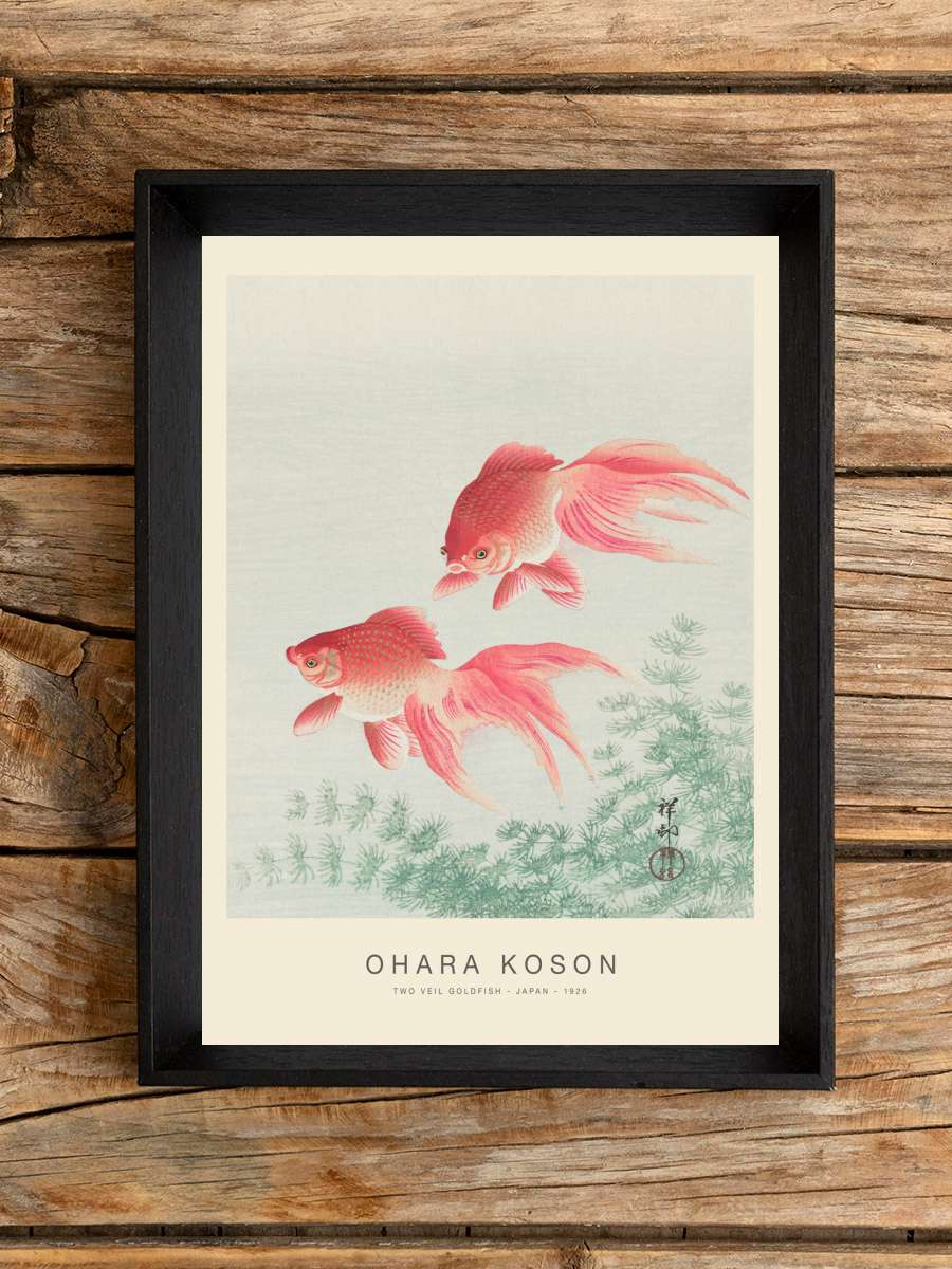 Two Veil Goldfish (Special… (Special Edition) - Ohara Koson Sanatsal Modern Tablo Siyah Çerçeveli Poster Modern Duvar Tablo