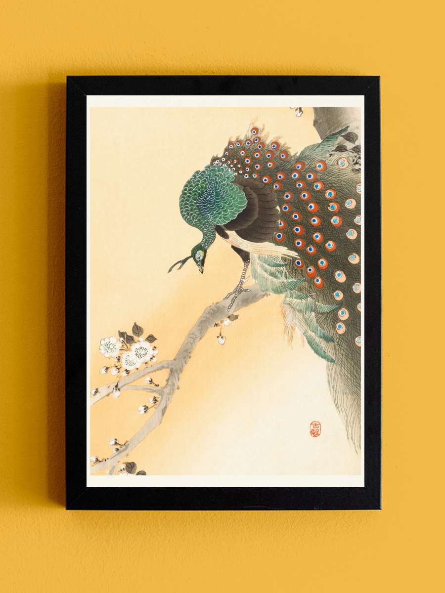 Peacock & Cherry Blossom … (Japandi Vintage) - Ohara… Sanatsal Modern Tablo Siyah Çerçeveli Poster Modern Duvar Tablo