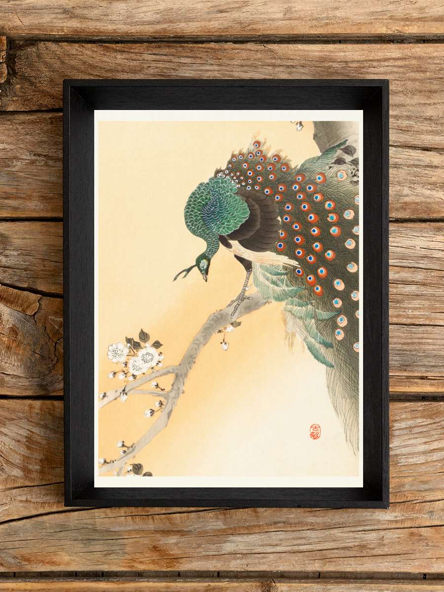 Peacock & Cherry Blossom … (Japandi Vintage) - Ohara… Sanatsal Modern Tablo Siyah Çerçeveli Poster Modern Duvar Tablo