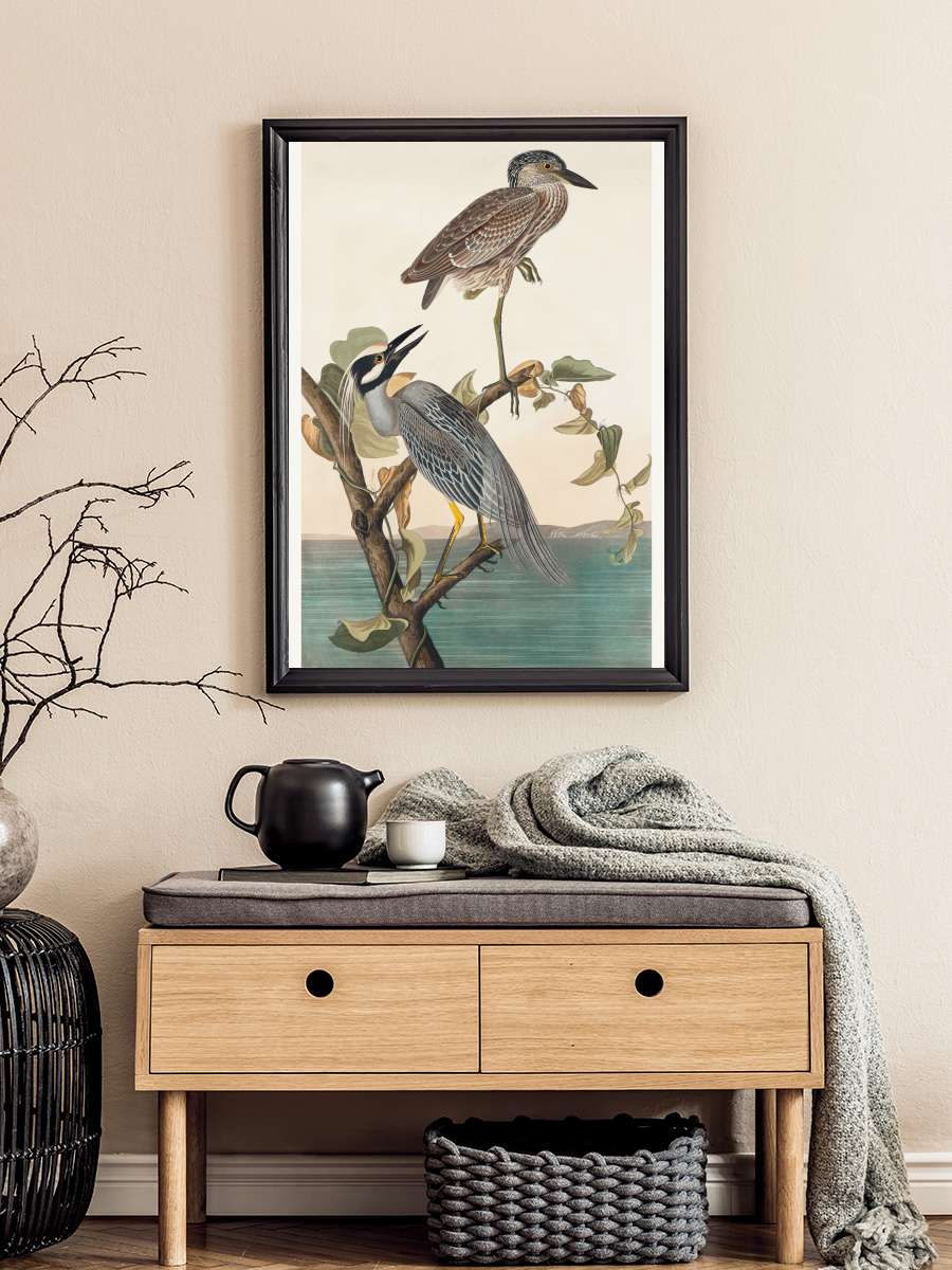 The Yellow Crowned Heron (Birds… (Birds) - John James Audubon Sanatsal Modern Tablo Siyah Çerçeveli Poster Modern Duvar Tablo