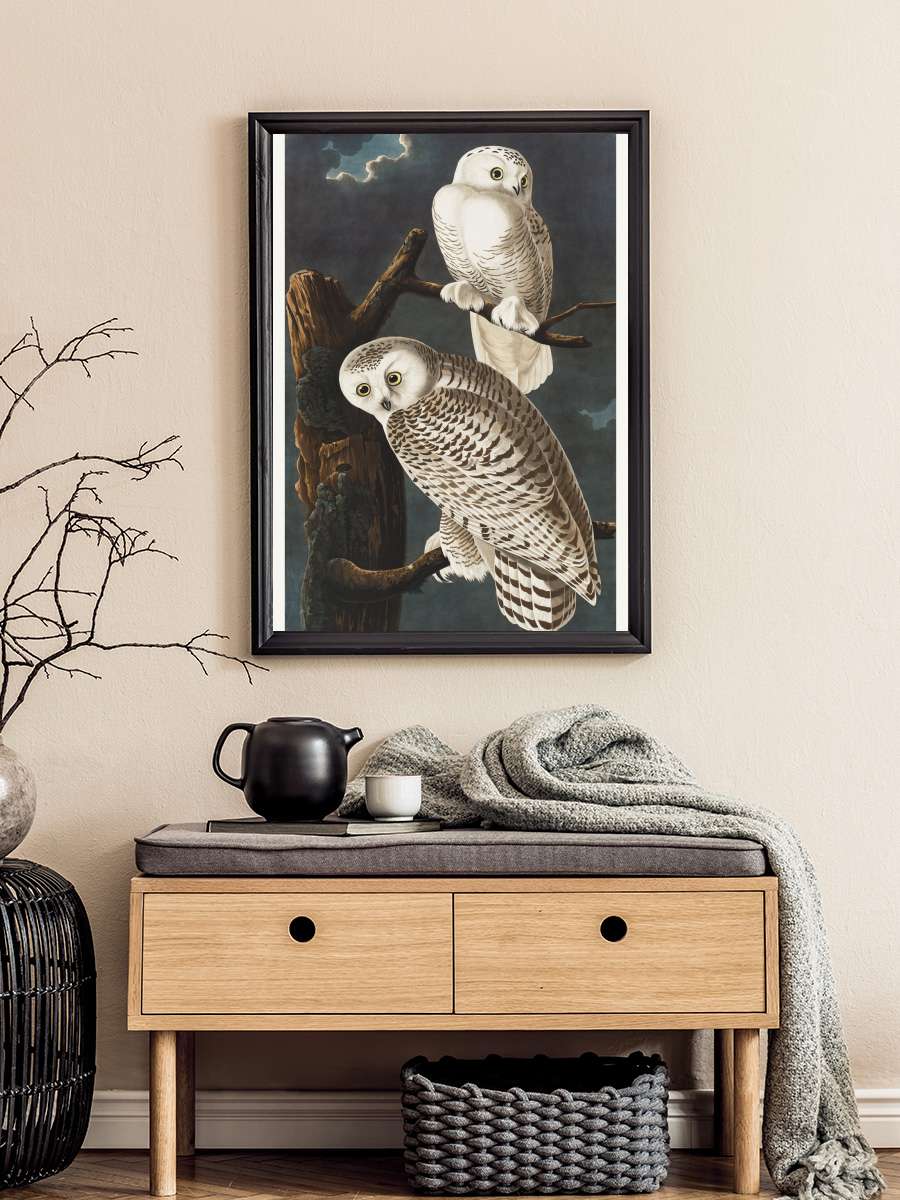 The Snowy Owl (Birds) - John… John James Audubon Sanatsal Modern Tablo Siyah Çerçeveli Poster Modern Duvar Tablo