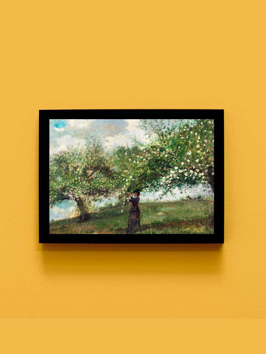 Girl Picking Apple Blossoms … (Apple Orchard Harvest) -… Sanatsal Modern Tablo Siyah Çerçeveli Poster Modern Duvar Tablo