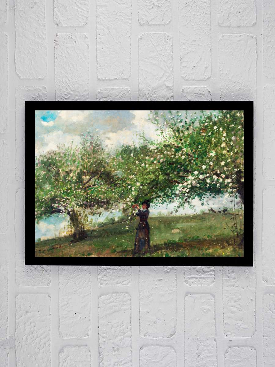 Girl Picking Apple Blossoms … (Apple Orchard Harvest) -… Sanatsal Modern Tablo Siyah Çerçeveli Poster Modern Duvar Tablo