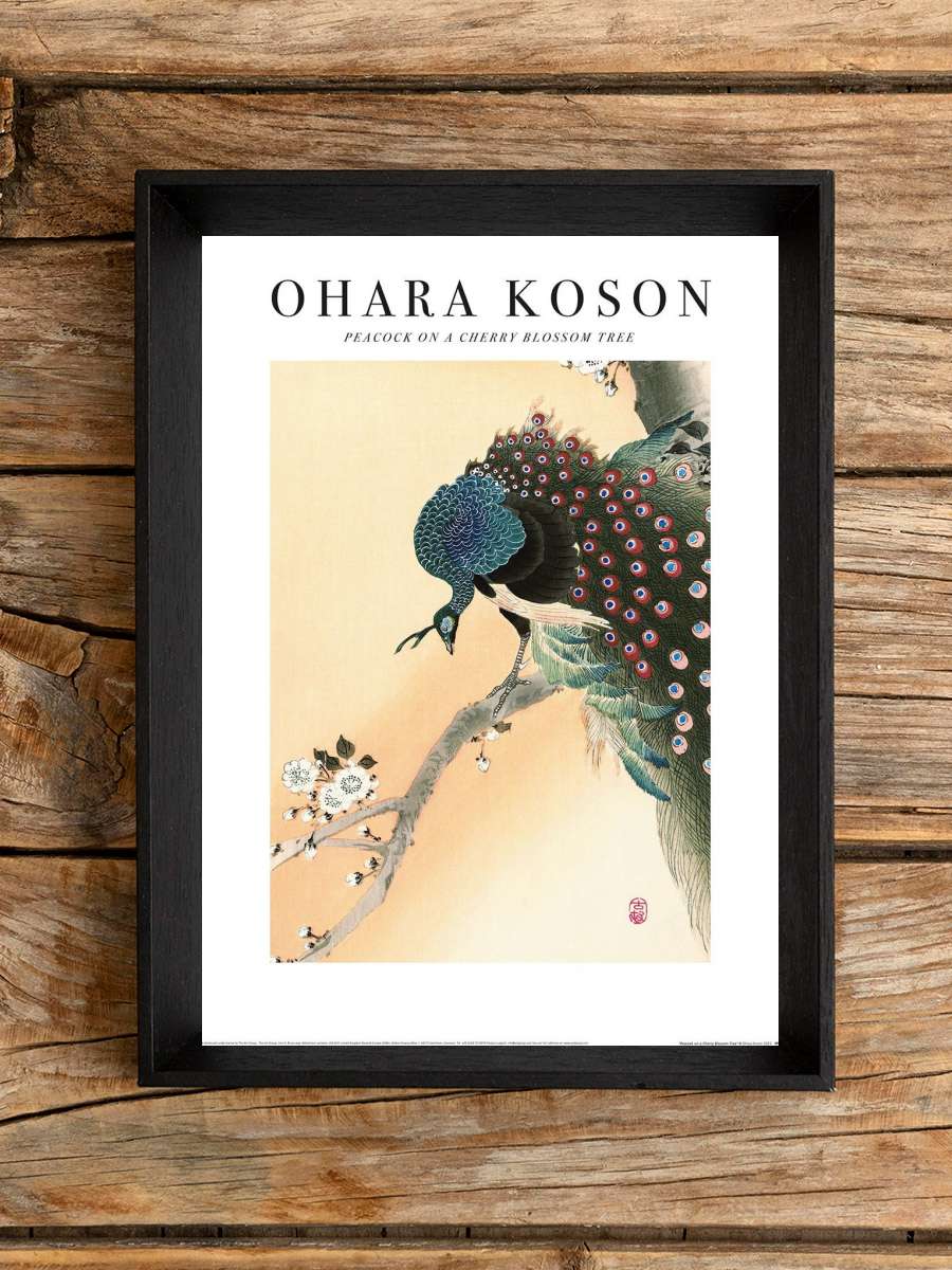 Ohara Koson - Peacock on a Cherry Blossom Tree Sanatsal Modern Tablo Siyah Çerçeveli Poster Modern Duvar Tablo